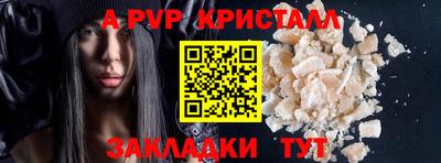 стаф Кингисепп