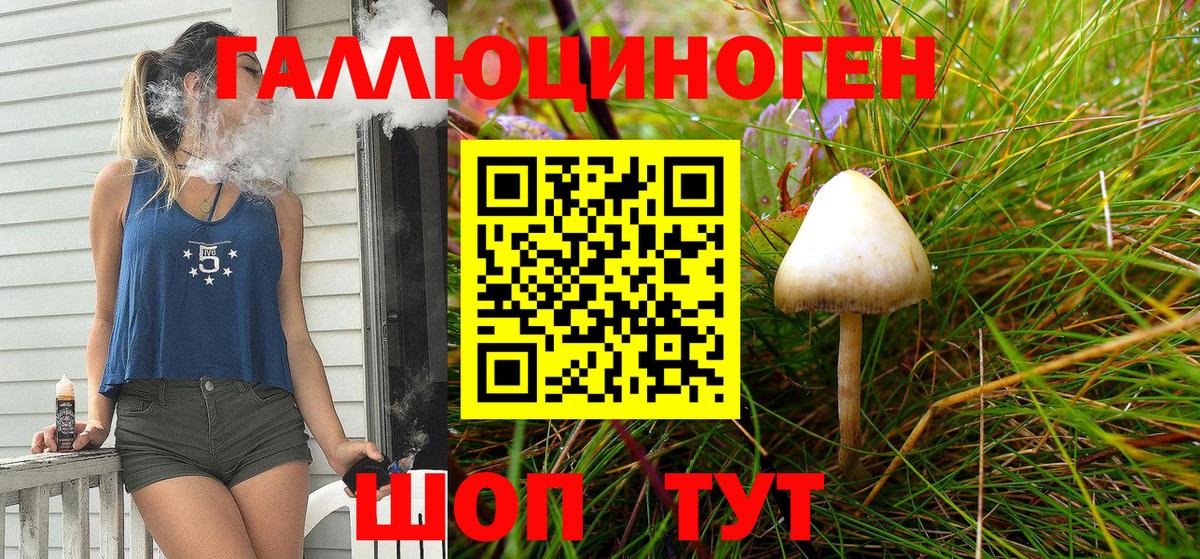 Киселёвск  Псилоцибиновые грибы Psilocybine cubensis  Вход с VPN  Галлюциногенные грибы MAGIC MUSHROOMS 
